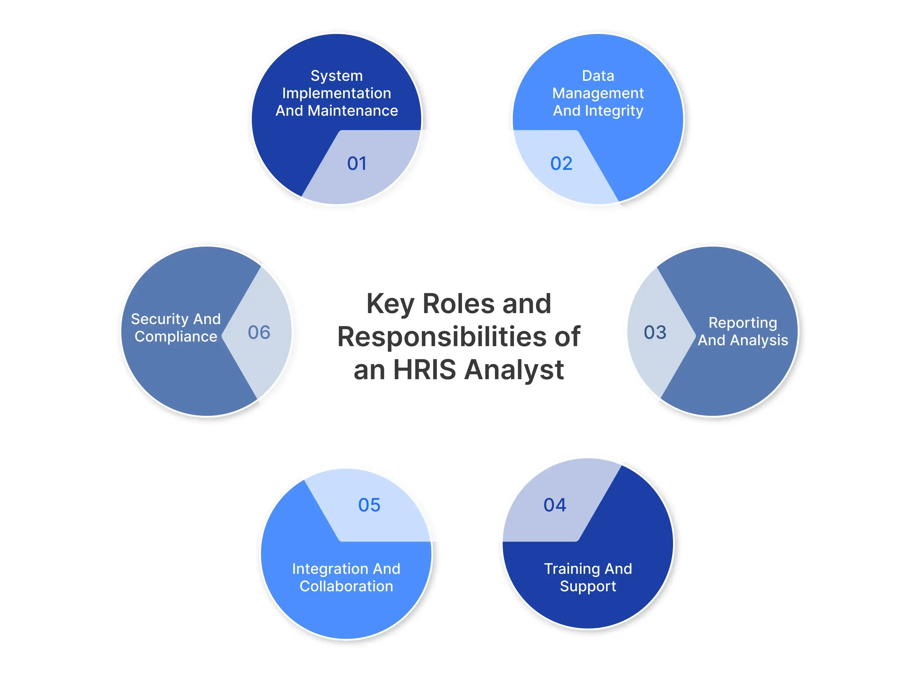 Key Roles and Responsibilities of an HRIS Analyst
