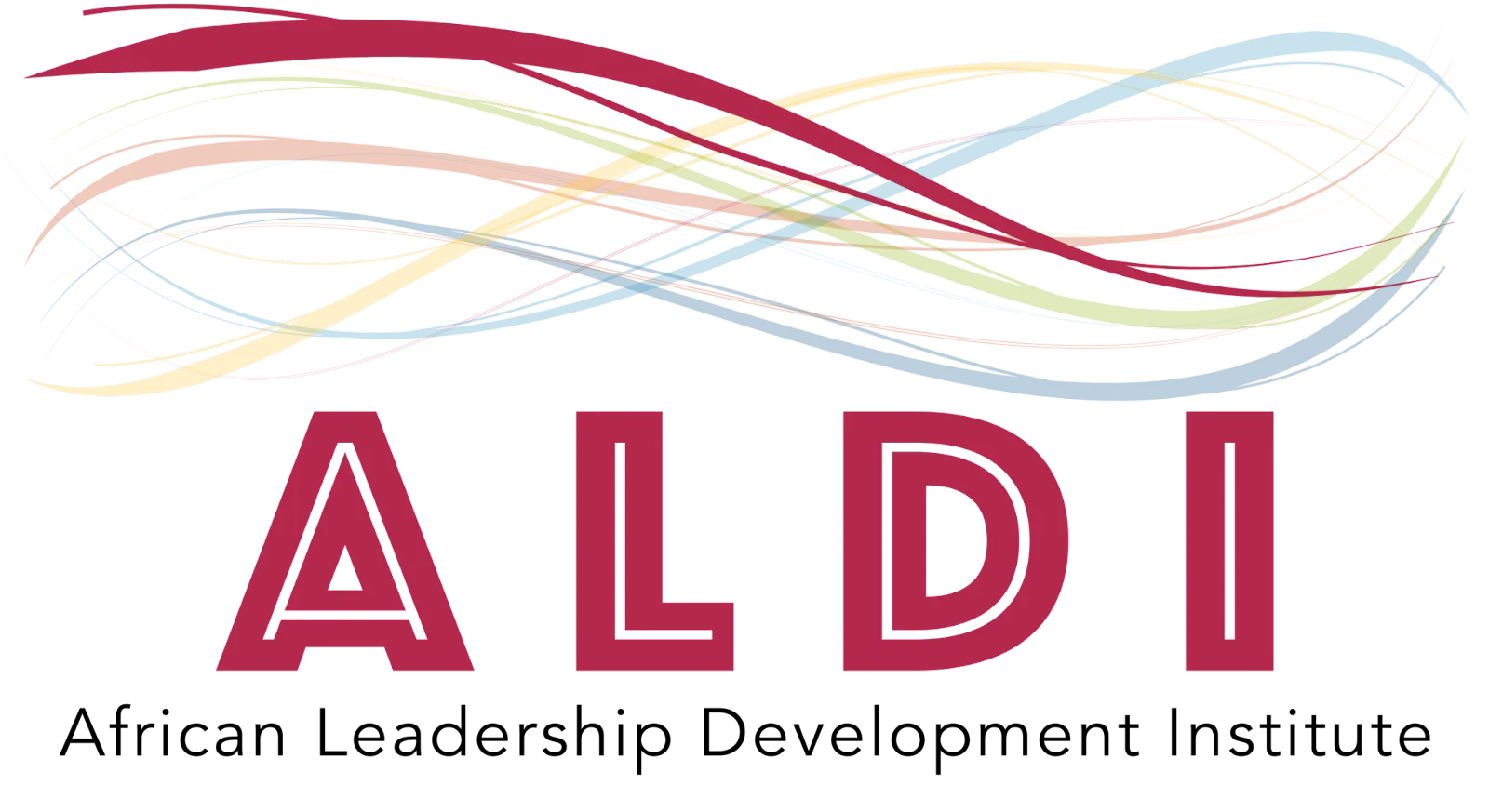 Africa Leadership Development Institute (ALDI)
