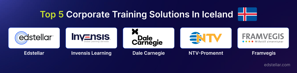 Corporate Training Solutions in Iceland