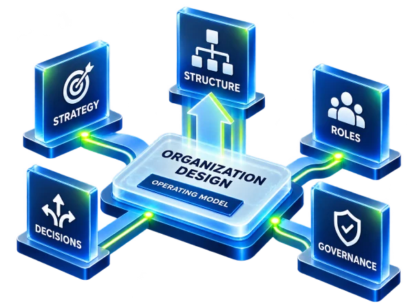 Organization Design Consulting