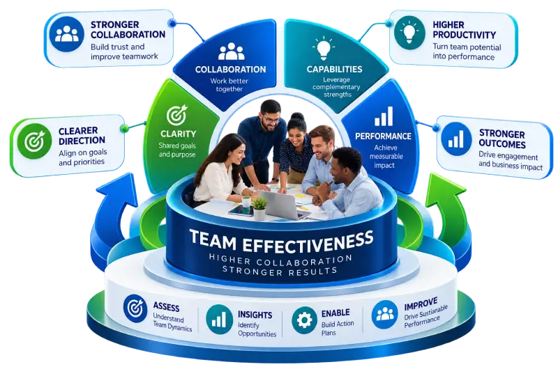 Team Effectiveness Assessment Services