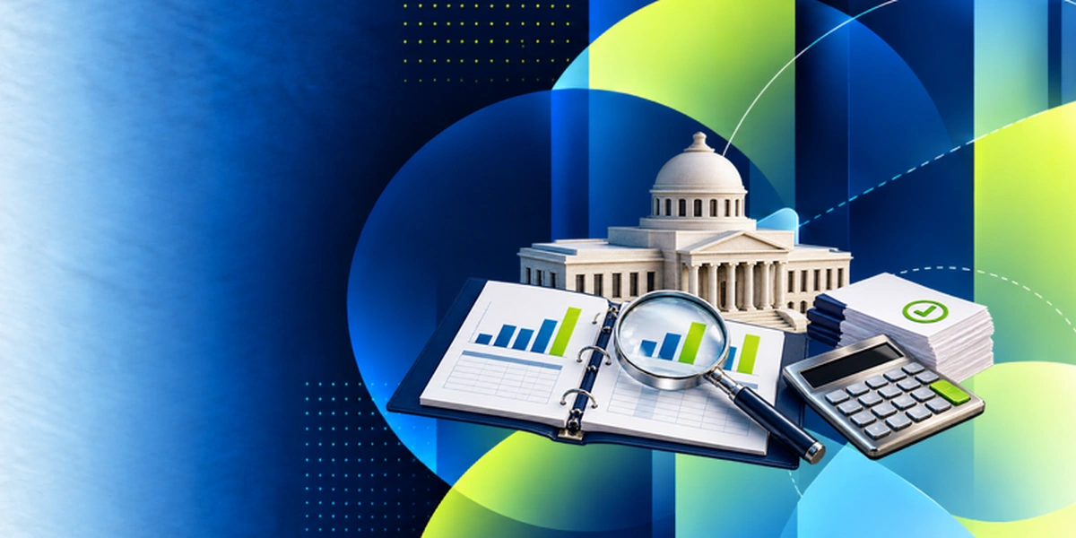 Government Audit & Public Accountability (INTOSAI)
