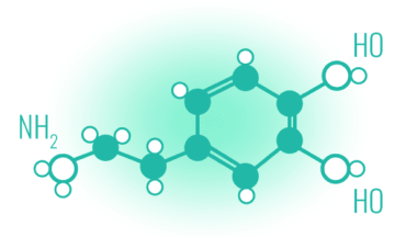 Dopamin's Impact on Learning