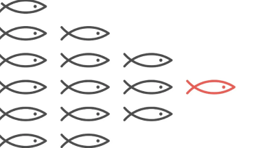 Essential Tips for Future L&D Leaders